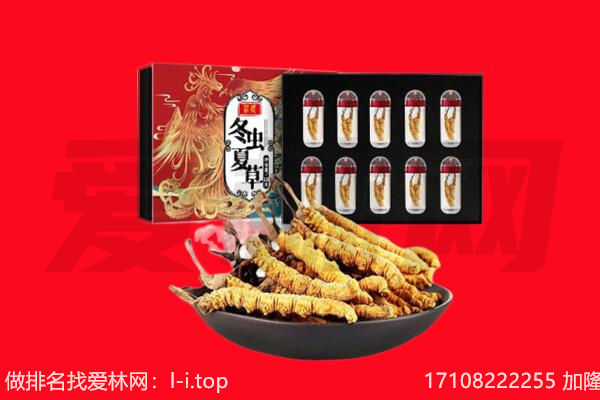 兴山县回收虫草.jpg